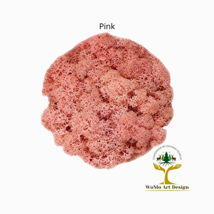 Тотална разпродажба Скандинавски мъх - първо качество