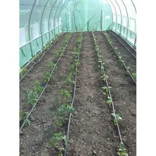 Сглобяема Оранжерия - парник с 2 врати 180-ГРАМА НА КВ.М.