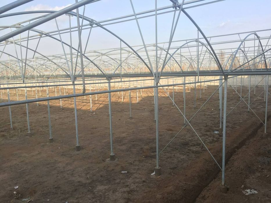 Teplisa eron teplisa 1 gektar