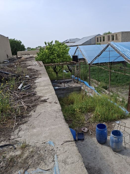 Samarqand chortut mahallasida uchastka sotiladi