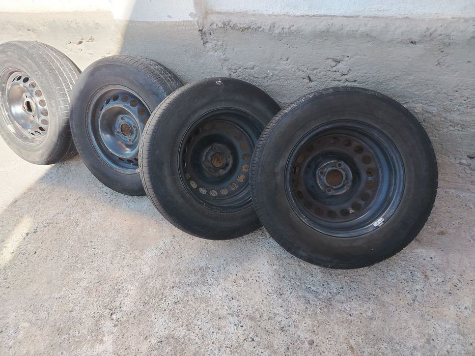 Diska balon 14, kobaltniki