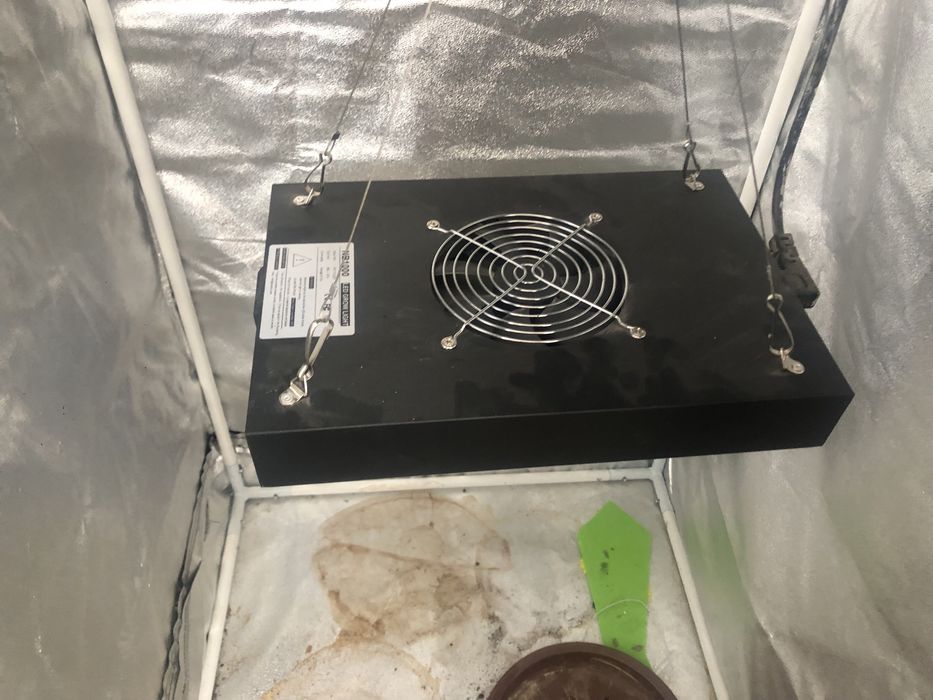 Гроубокс/гроутент