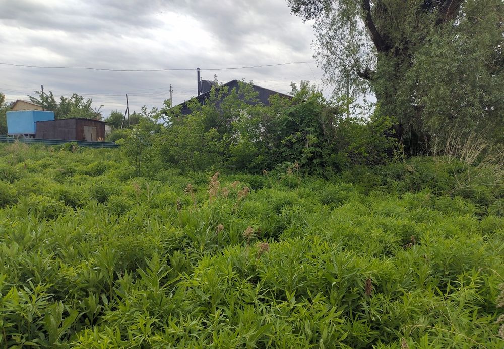 Продам участок в черте города