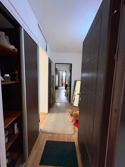 Apartament 2 camere, Costesti