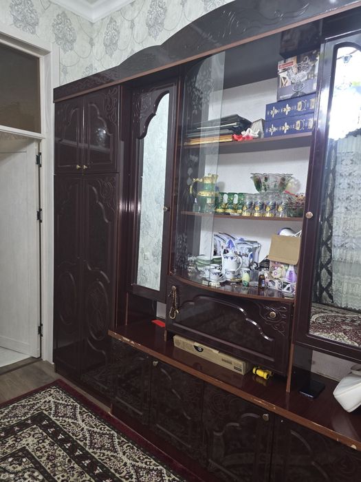 Mehmonxona uchun ajoyib stenka