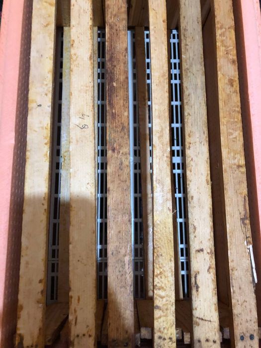 Asalari uyalari penaplekstdan yasalgan