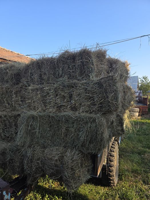 Baloți de fân ..