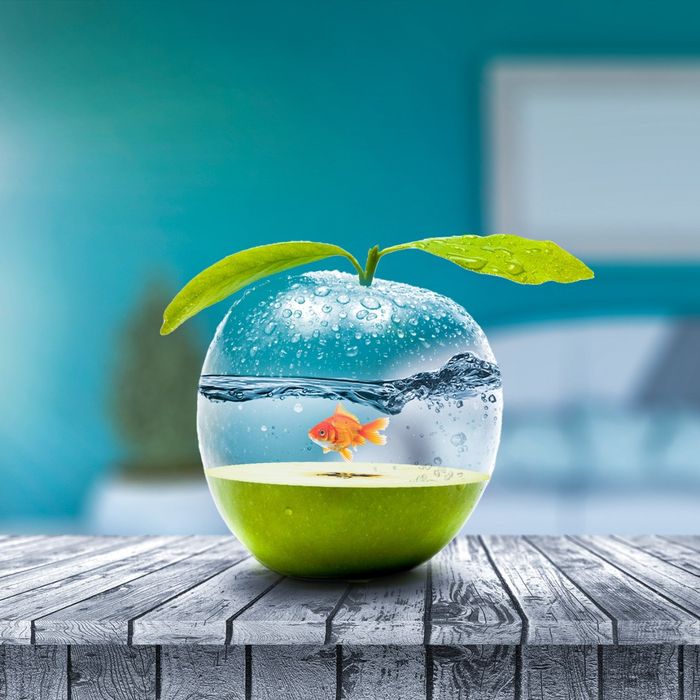 Графический дизайнер