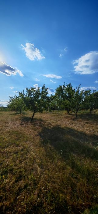Vând doua terenuri zona Cuca