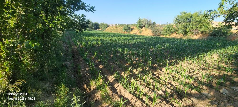 Ер сотилади 35 сотах