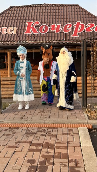 Дед мороз и снегурочка