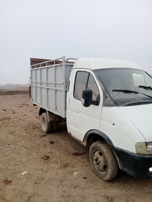 Газел сатылады траппен