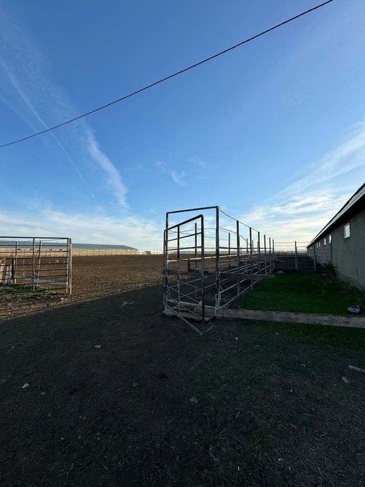 Продам крестьянское хозяйство