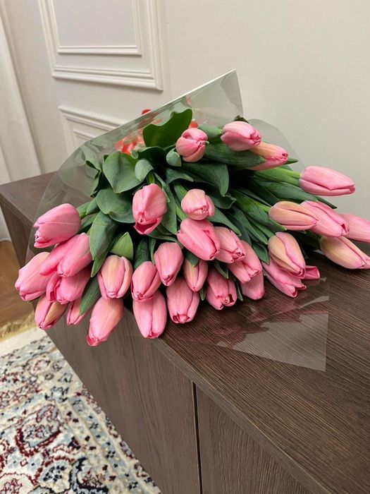 Тюльпаны оптом от производителя (голландские сорта)