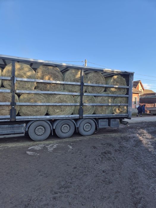 Бали люцерна- сенаж