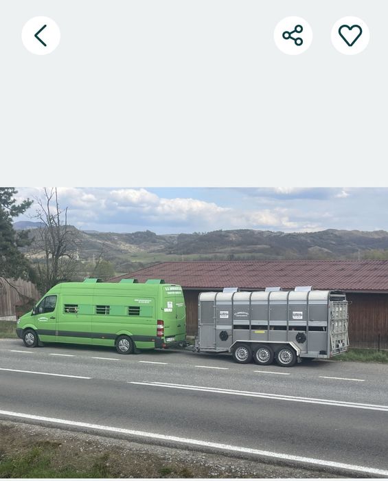 Transport Animale Vii