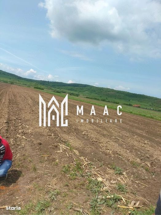 Teren extravilan de vânzare | Bradu | 10.000 mp | intabulat CF
