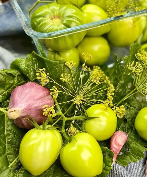 Квашеные помидоры оптом