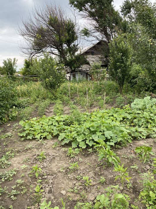 Продам дом с большим участком