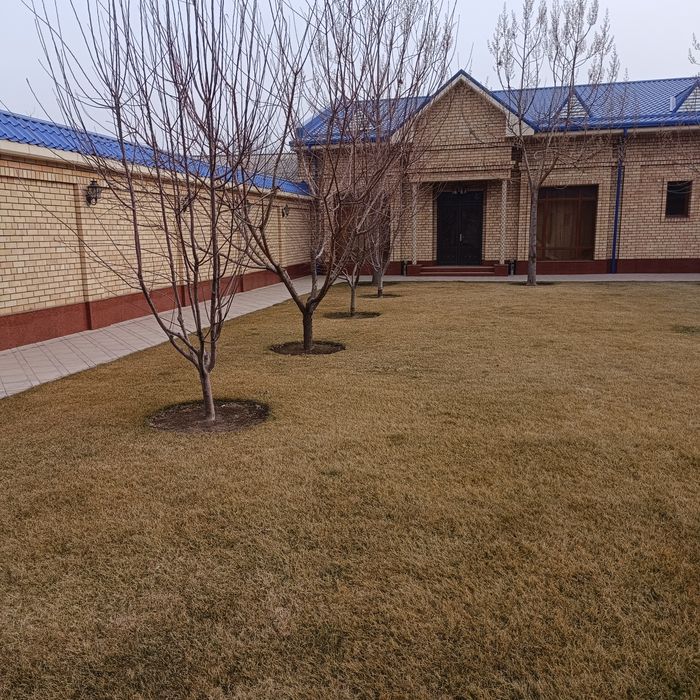 Ko'chatlar sotiladi mevali