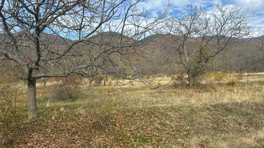 Продава се Земеделски имот в Карлово -  кв.м за 1 €/дка - Снимка #1