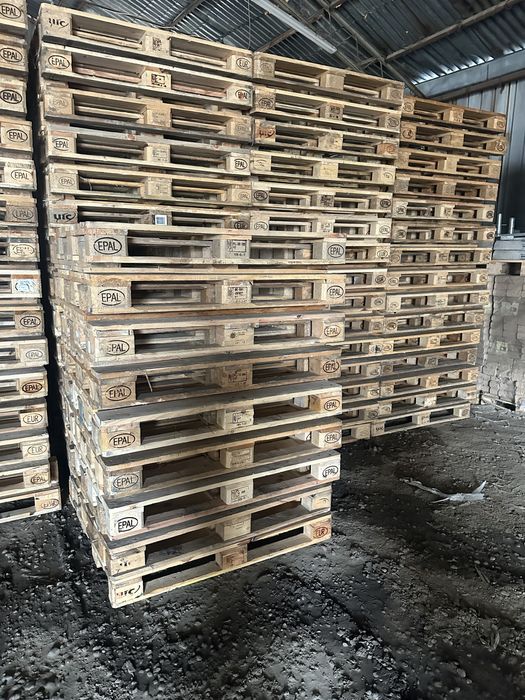 Vand Paleti Euro Albi / Euro negri