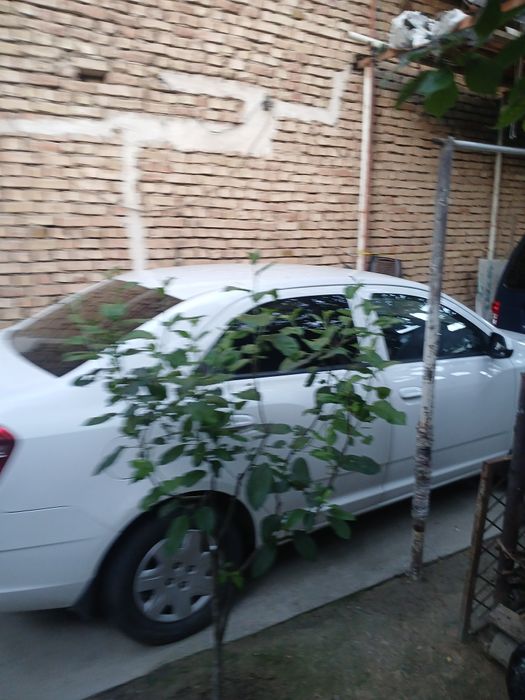 Автомобил кобалть