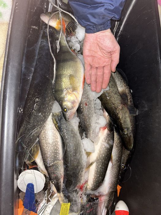 Выезд на рыбалку