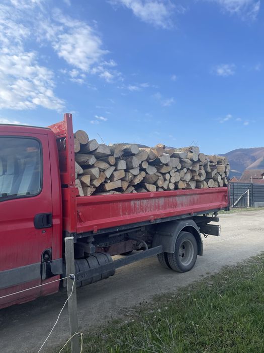 Vand lemn de foc : fag , stejar , carpen , brad