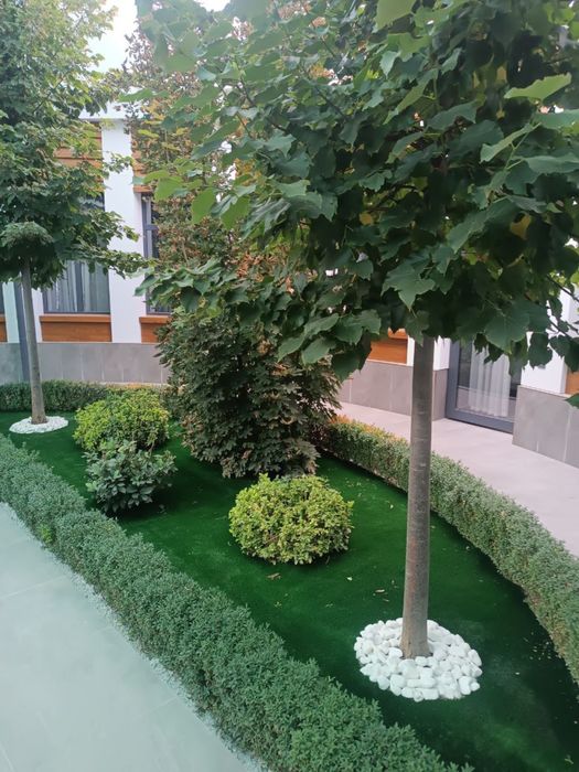 Synie chim barcha turidan