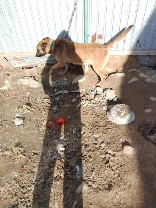 Аяк колы сау гарантия