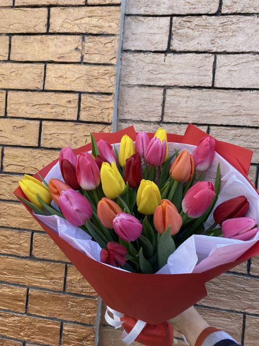 Тюльпаны оптом и в розницу