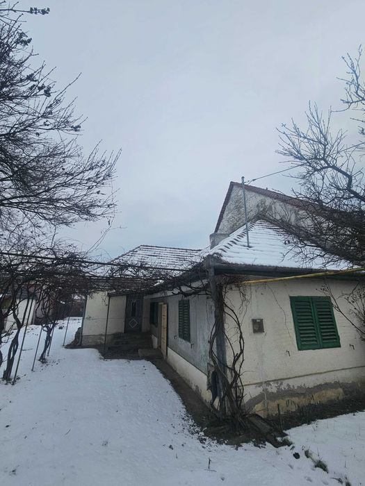 Vand casa cu 2 cladiri , curte si 2 intrari