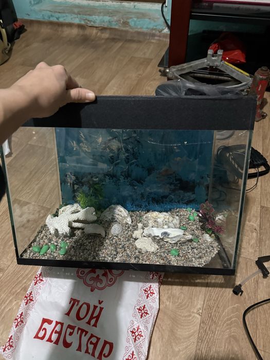 Аквариум для рыб