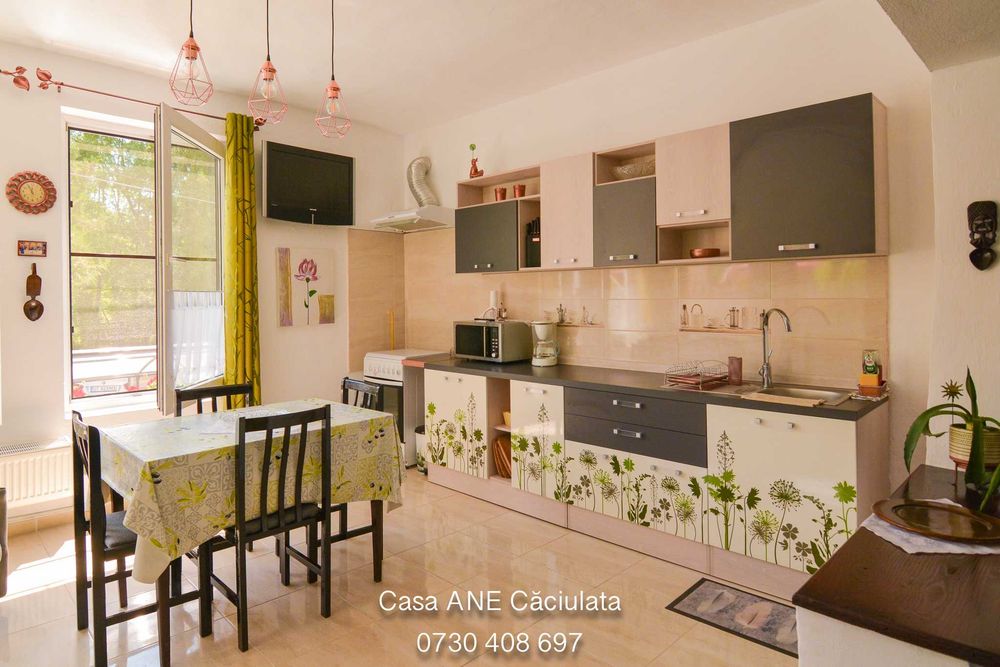 Închiriere / Cazare  Vilă Căciulata - Călimănești ultracentral
