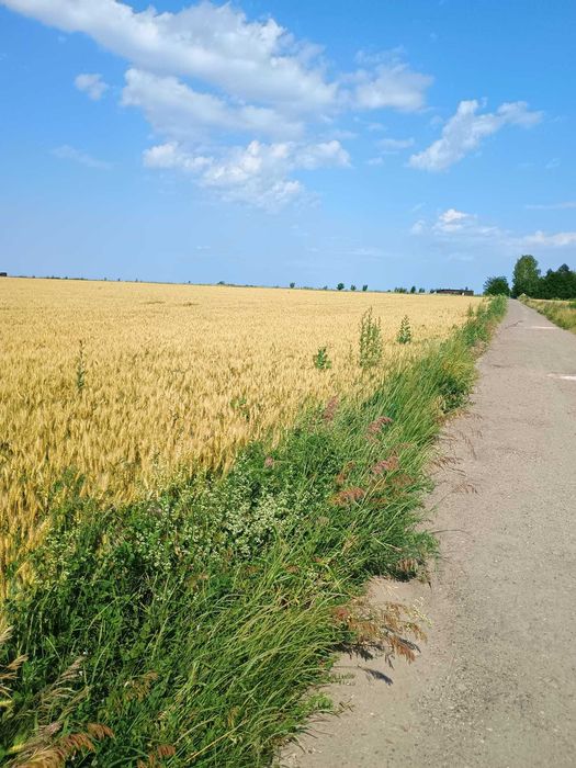 Proprietar!Vand 5000 mp teren extravilan in Valea Ursului