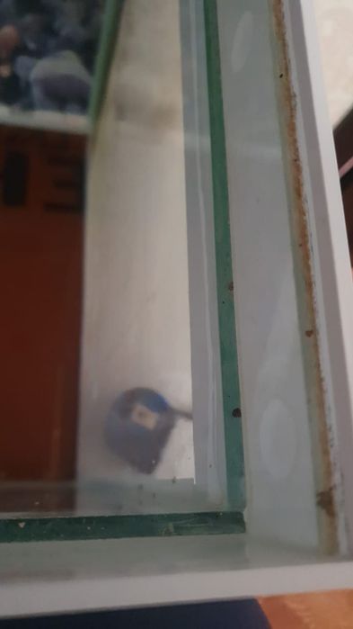 Продается аквариум  с тумбои  могу отдельно продать