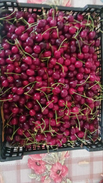 Cireșe, Cireșe, Cireșe 20RON / kg