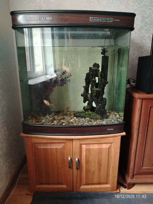 Аквариум (famous globe )