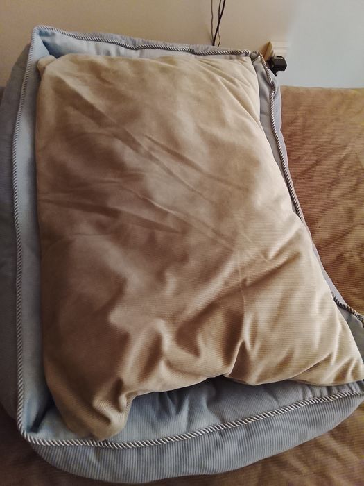 Легло за домашен любимец