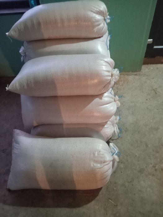 Grau de vinzare arad