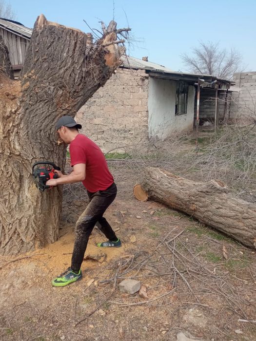 Пилем и продаём дерево