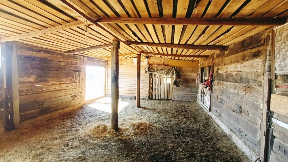 Продам хозяйства