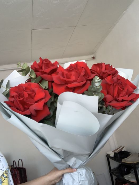 Цветы розы , срочно продаются, подарили