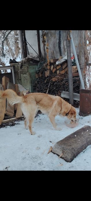 кабель 4 года...