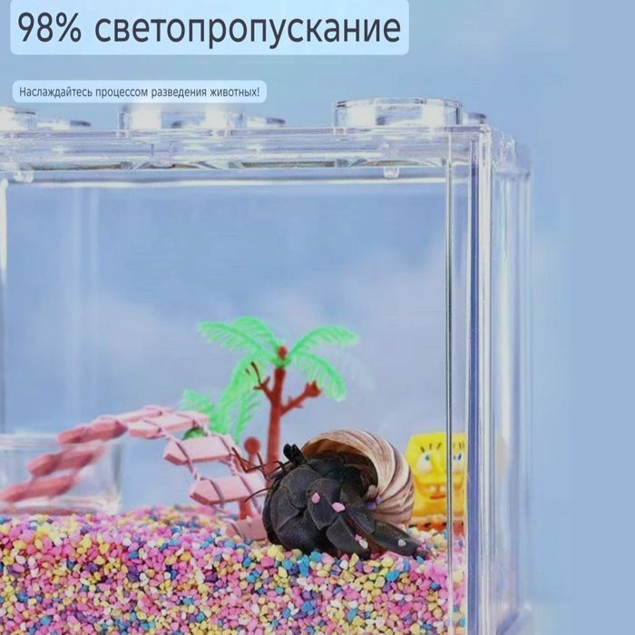Терариум с отшельником крабом