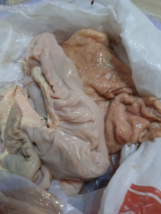 Продаю кишки коровьи и лошади