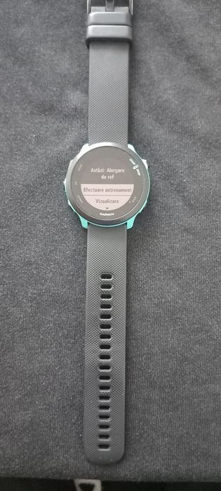 Garmin Forerunner 55