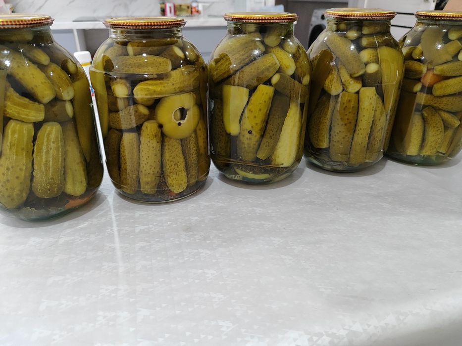 Продам Огурцы солёные