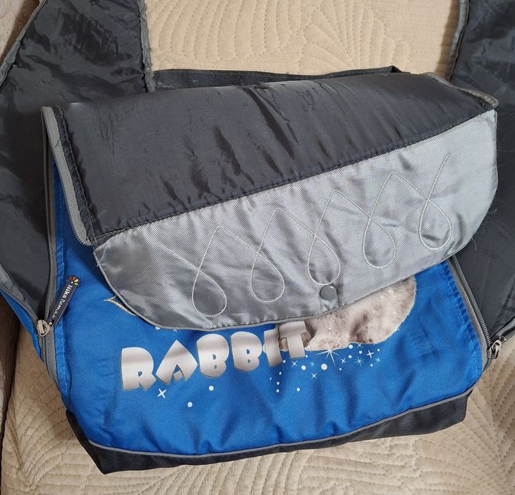 Санки    коляска